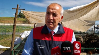 Malatya’da Kurban Bayramı öncesi hazırlıkların tamamlandığını belirten Malatya İl Tarım