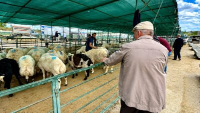 Bayramın üçüncü gününde kurban pazarında satışlar devam ederken, bazı yetiştiriciler