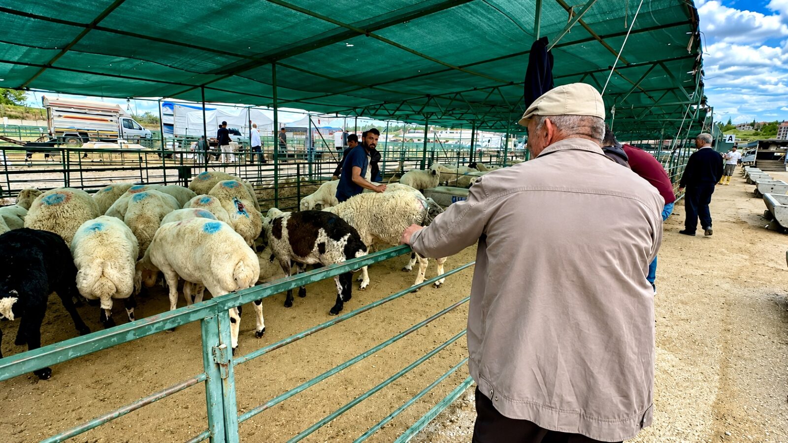 Bayramın üçüncü gününde kurban pazarında satışlar devam ederken, bazı yetiştiriciler
