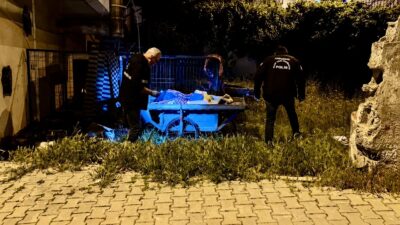 Malatya’da süratle sokağa giren otomobilin seyyar arabaya çarpması sonucu 3