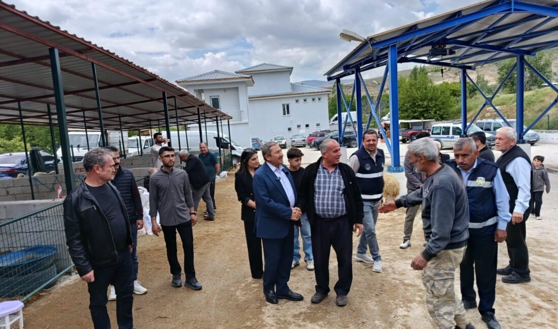Darende Hayvan Pazarında Bayram Yoğunluğu Darende Belediye Başkanı Alican Bozkurt, Kurban Bayramı öncesi canlı hayvan