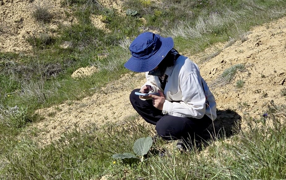 Darende’de yürütülen kapsamlı flora çalışmasıyla bölgenin bitki çeşitliliği kayıt altına