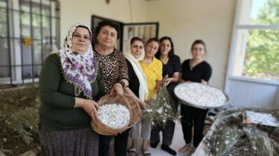 Hekimhan Kadın Kooperatifi, kadın emeğini üretime kazandırmak ve ilçe ekonomisine