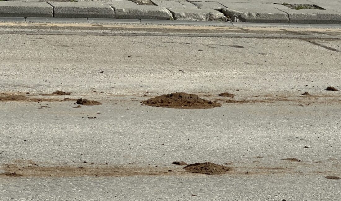 İnönü Caddesi’nde Çamur Tepkisi Malatya’nın en işlek noktalarından İnönü Caddesi’nde, şantiyelerden çıkan hafriyat kamyonlarının