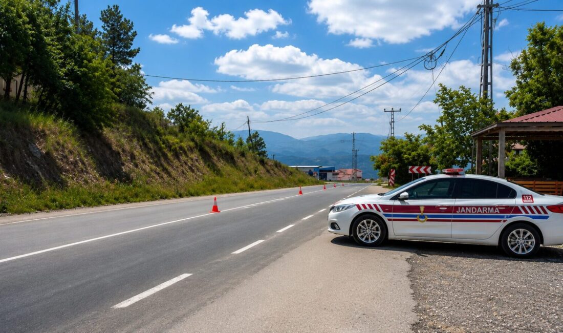 Jandarma’dan Bayramda Sivil Trafik Denetimi Malatya İl Jandarma Komutanlığı ekipleri, Kurban Bayramı trafik tedbirleri kapsamında