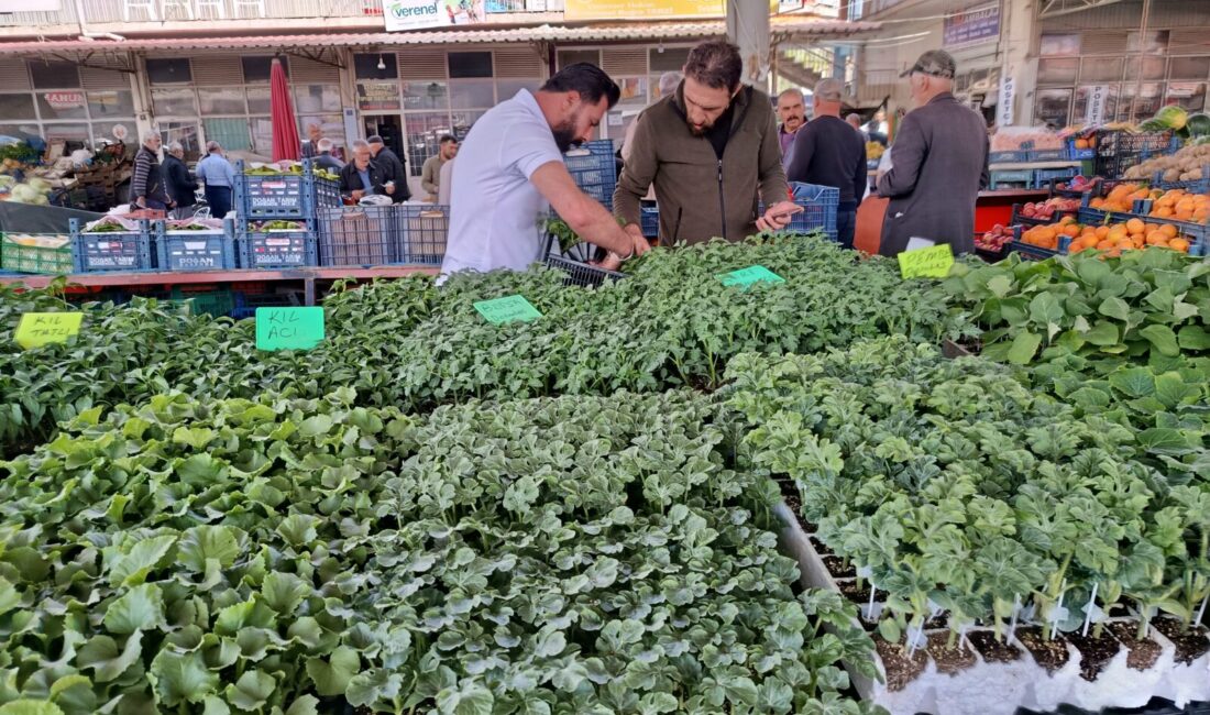 Malatya’nın Darende ilçesinde artan sebze fiyatları, vatandaşları kendi sebzesini üretmeye