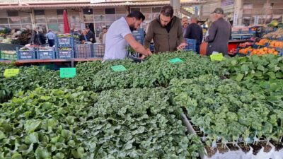Malatya’nın Darende ilçesinde artan sebze fiyatları, vatandaşları kendi sebzesini üretmeye