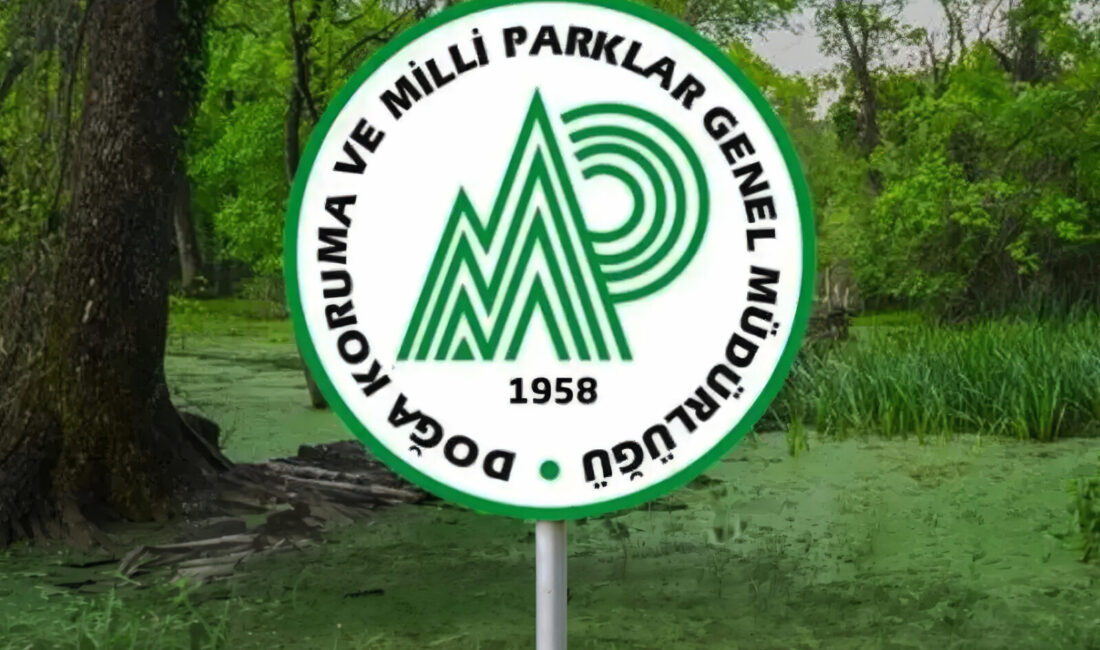 Doğa Koruma ve Milli Parklar Genel Müdürlüğü 92 Personel Alacak Doğa Koruma ve Milli Parklar Genel Müdürlüğü, 2026 yılı personel