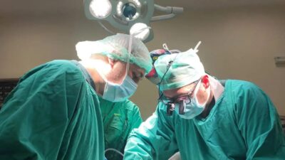 Turgut Özal Tıp Merkezi Karaciğer Nakli Enstitüsü, organ nakli alanında