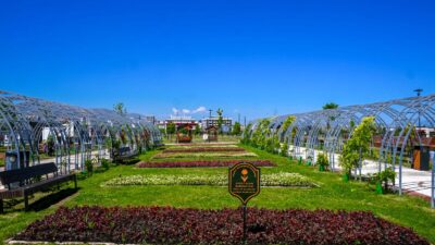 Malatya Büyükşehir Belediyesi Park ve Bahçeler Dairesi Başkanlığı kent estetiğini