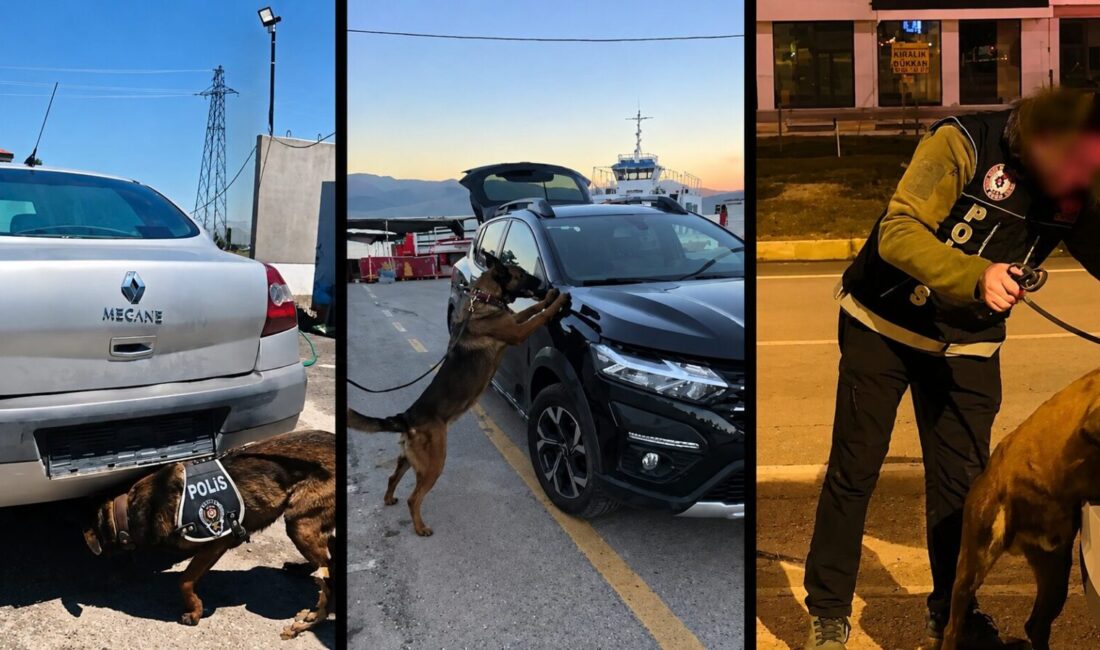 Malatya’nın da Aralarında Bulunduğu 76 İlde Narkotik Operasyonu Emniyet Genel Müdürlüğü koordinesinde aralarında Malatya’nın da bulunduğu 76 ilde