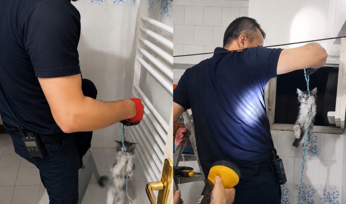 Yavru Kedinin İmdadına İtfaiye Yetişti Battalgazi ilçesinde apartman boşluğundan gelen kedi sesleri üzerine yapılan ihbar,