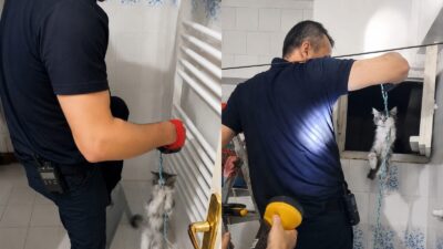 Battalgazi ilçesinde apartman boşluğundan gelen kedi sesleri üzerine yapılan ihbar,