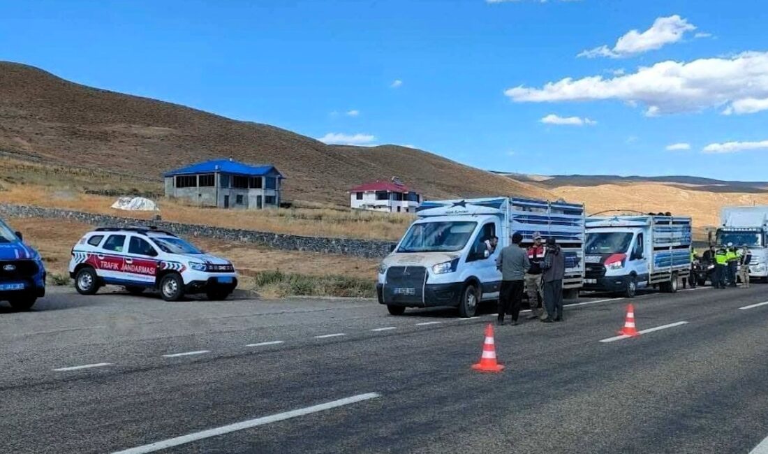 İçişleri Bakanlığı koordinasyonunda 81 ilde göçmen kaçakçılığı organizatörleri ve düzensiz