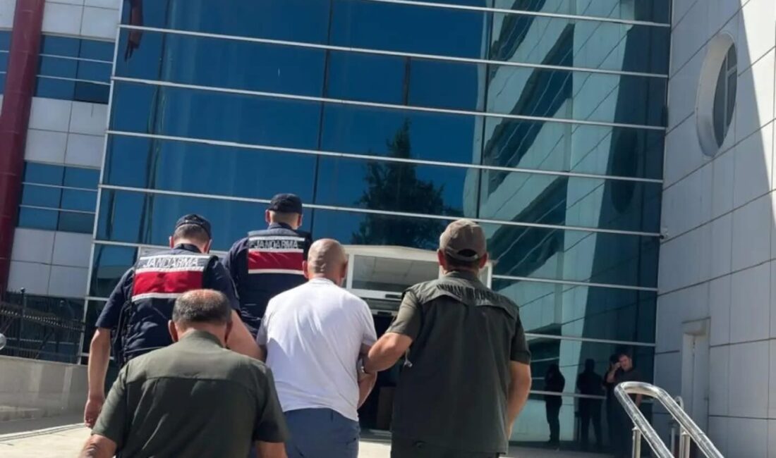Adıyaman-Kahta kara yolu üzerindeki Ali Dağı mesire alanında çıkan orman