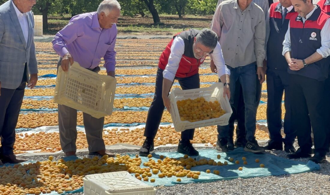 Tarım ve Orman Bakanı İbrahim Yumaklı, zirai donun ardından yeniden