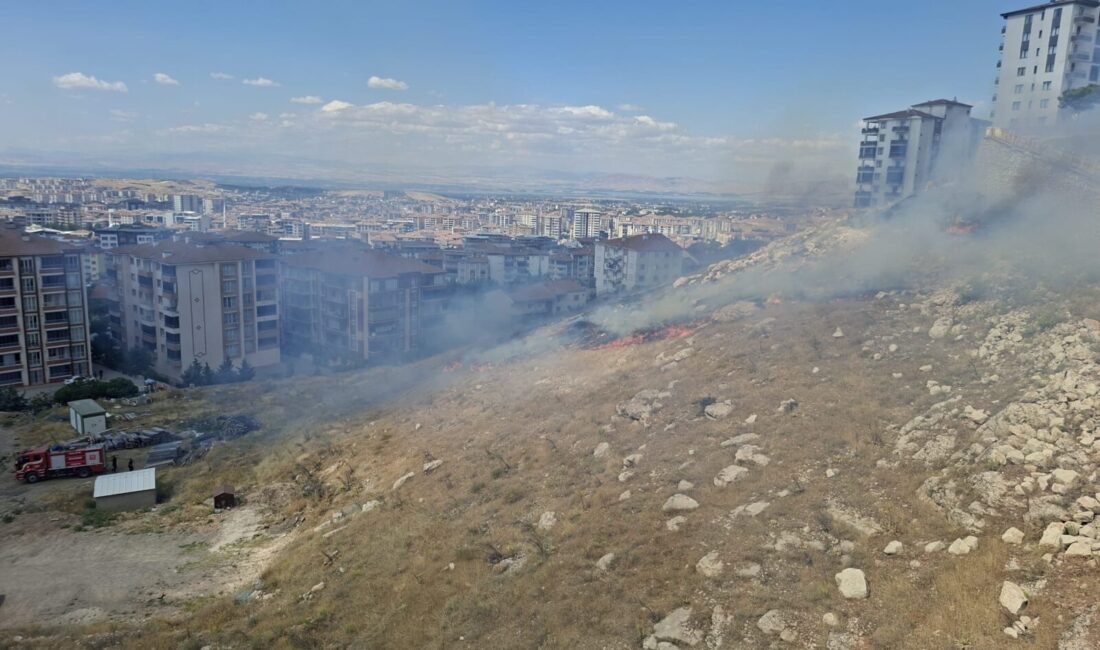Malatya’nın Battalgazi ilçesinde boş arazide çıkan ot yangını, Malatya Büyükşehir