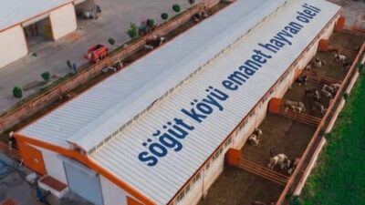 Hekimhan’ın Söğüt Mahallesi’nde kurulacak “Emanet Hayvan Oteli” ile gurbetçilerin ve