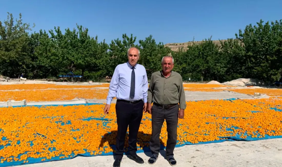 Malatya İl Tarım ve Orman Müdürü Osman Akar, Darende ilçesinde