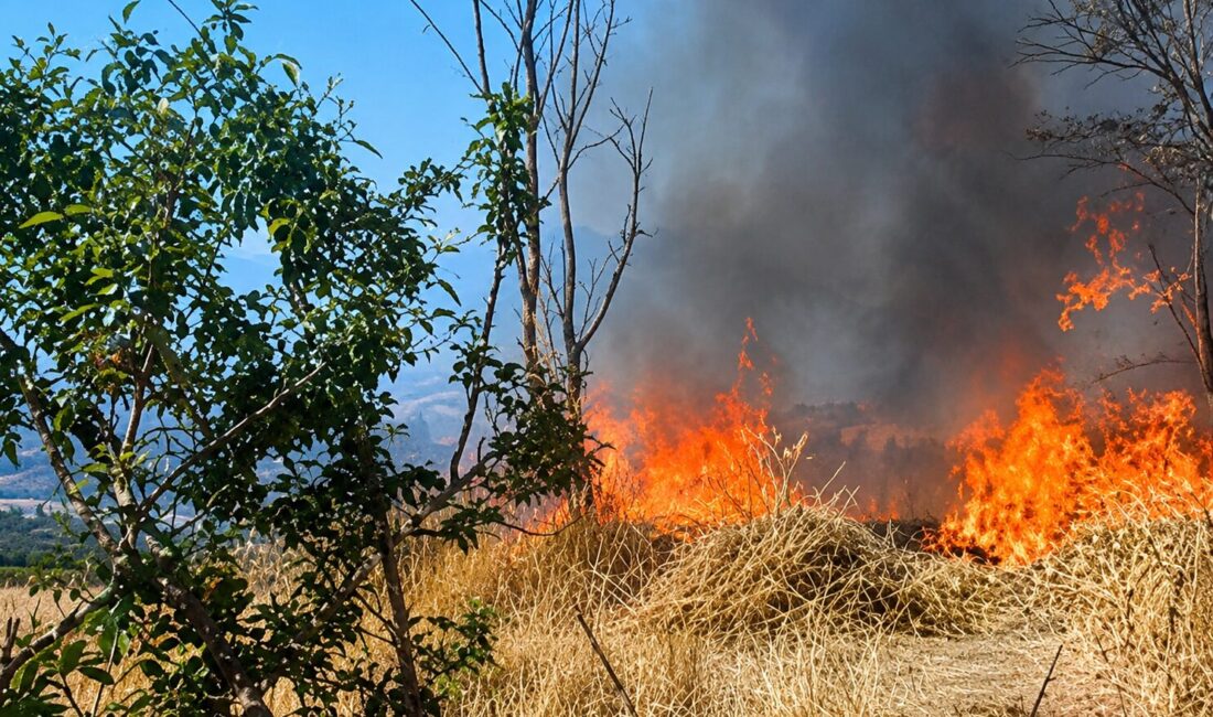 Malatya Valiliği, hasat sezonunda anız yakılmasının çevre, tarım ve insan