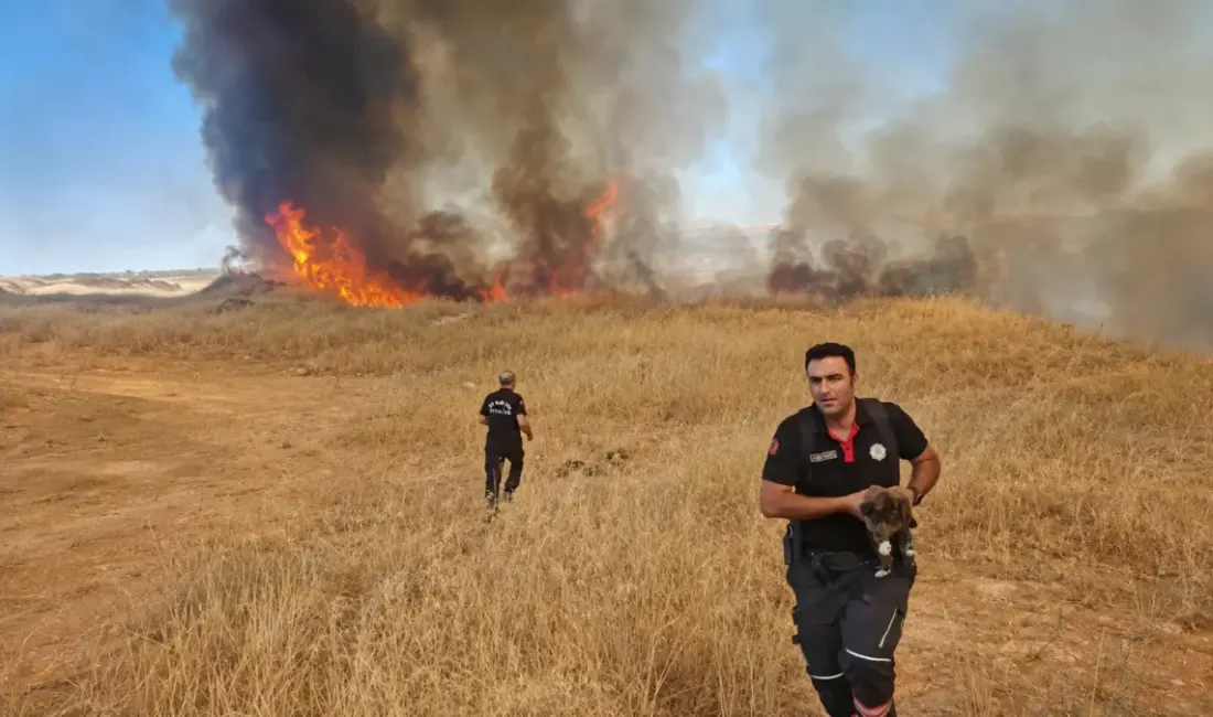 Malatya Akçadağ’da arazi örtüsü yangınına 7 araçla müdahale edildi. Alevlerin