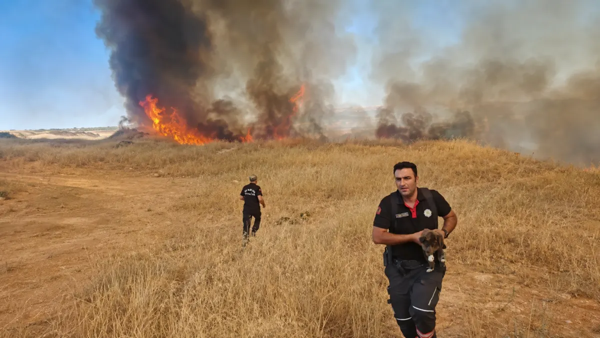 Malatya Akçadağ’da arazi örtüsü yangınına 7 araçla müdahale edildi. Alevlerin