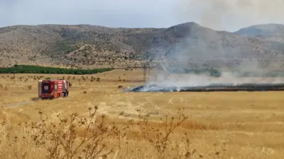 Yeşilyurt ilçesinde belediyeye tahsis edilen 170 dönümlük tarımsal üretim sahasında