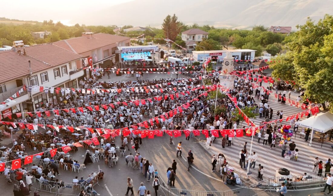 Doğanyol ilçesinde bu yıl ikincisi düzenlenen Yöresel Ürünler Festivali yoğun