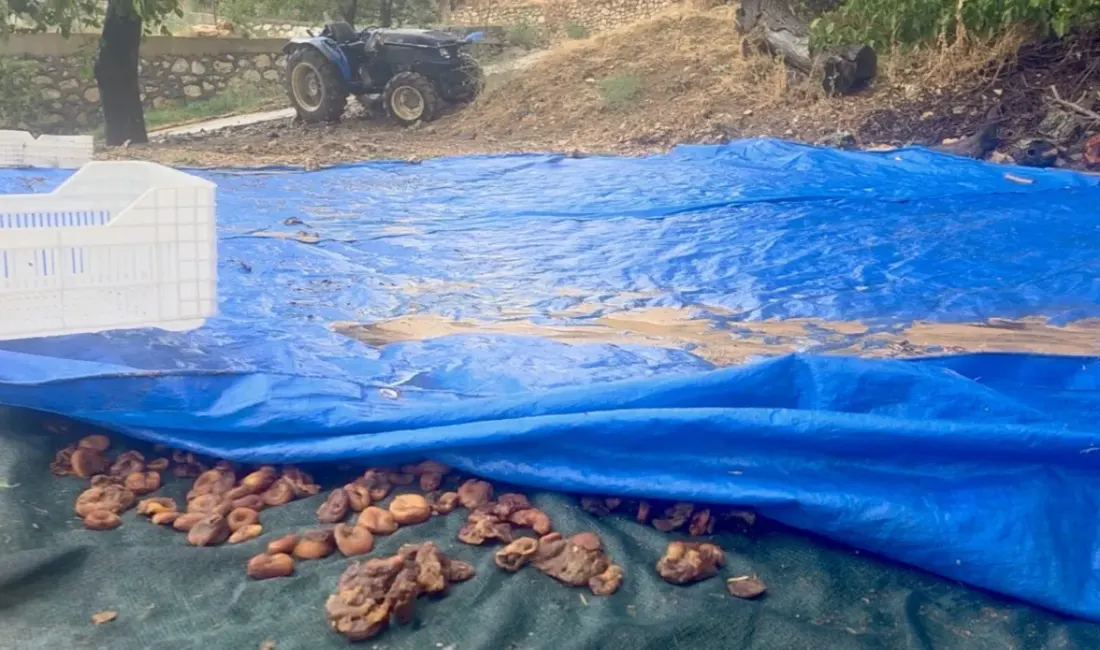 Hekimhan ilçesinde yaklaşık 2 saat etkili olan sağanak, sel ve