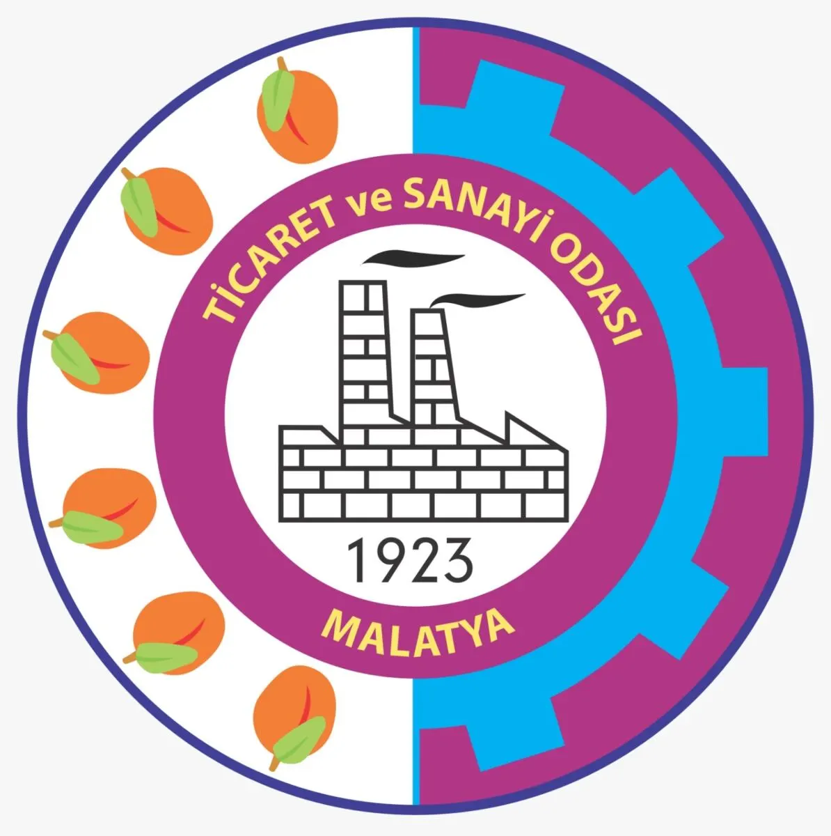 Malatya Ticaret ve Sanayi Odası, üyelerin meslek gruplarının seçim öncesinde