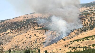 Malatya’nın Pütürge ilçesine bağlı Aktarla Mahallesi’nde geniş bir alanda orman