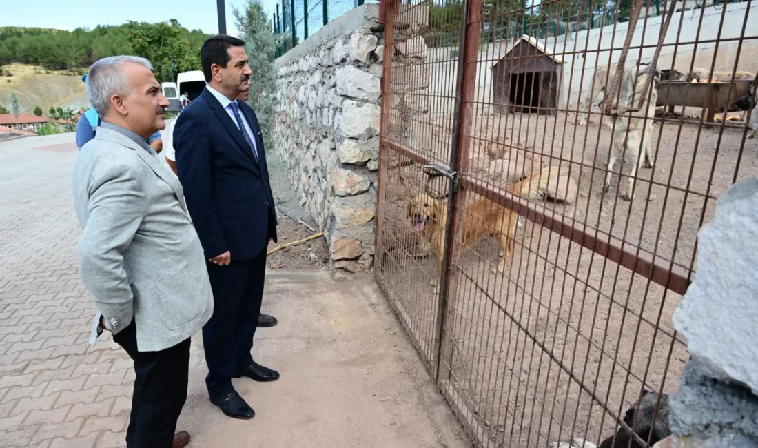 Başkan Bayram Taşkın, Yeniköy Mahallesi’ndeki barınakta yürütülen çalışmaları yerinde inceledi.