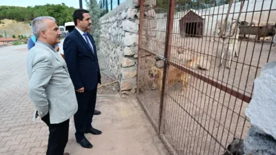 Başkan Bayram Taşkın, Yeniköy Mahallesi’ndeki barınakta yürütülen çalışmaları yerinde inceledi.