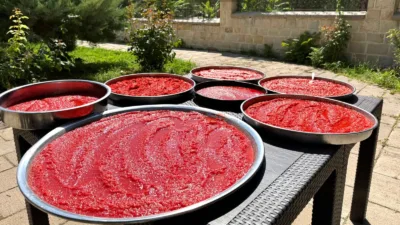 Salça, sos, konserve ve kurutmalık hazırlıklarıyla yaz ürünleri kış sofralarına