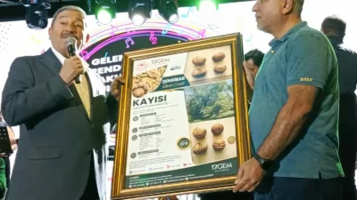 2019’da Millî Çeşit Listesi’ne alınan Zengibar Cevizi için fidan üretimi
