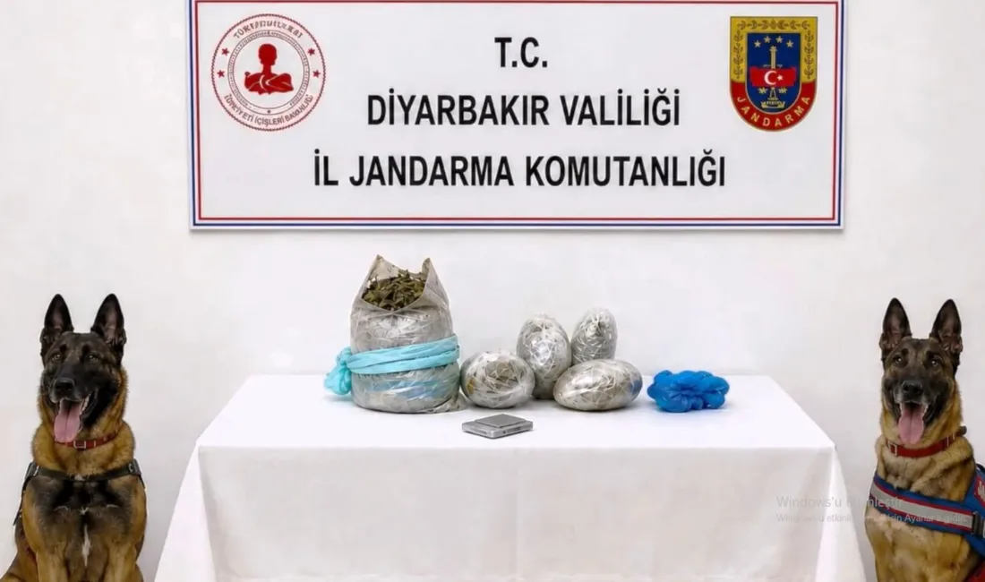 Lice ve Kulp’taki operasyonlarda 15 kilogram esrar ele geçirilirken 99