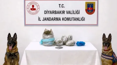 Lice ve Kulp’taki operasyonlarda 15 kilogram esrar ele geçirilirken 99