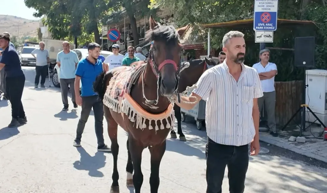 Malatya’nın rahvan yarış atı Kaçkar, 6 Eylül’de başaltı kategorisinde piste