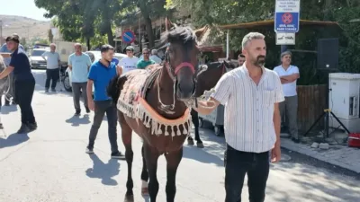 Malatya’nın rahvan yarış atı Kaçkar, 6 Eylül’de başaltı kategorisinde piste