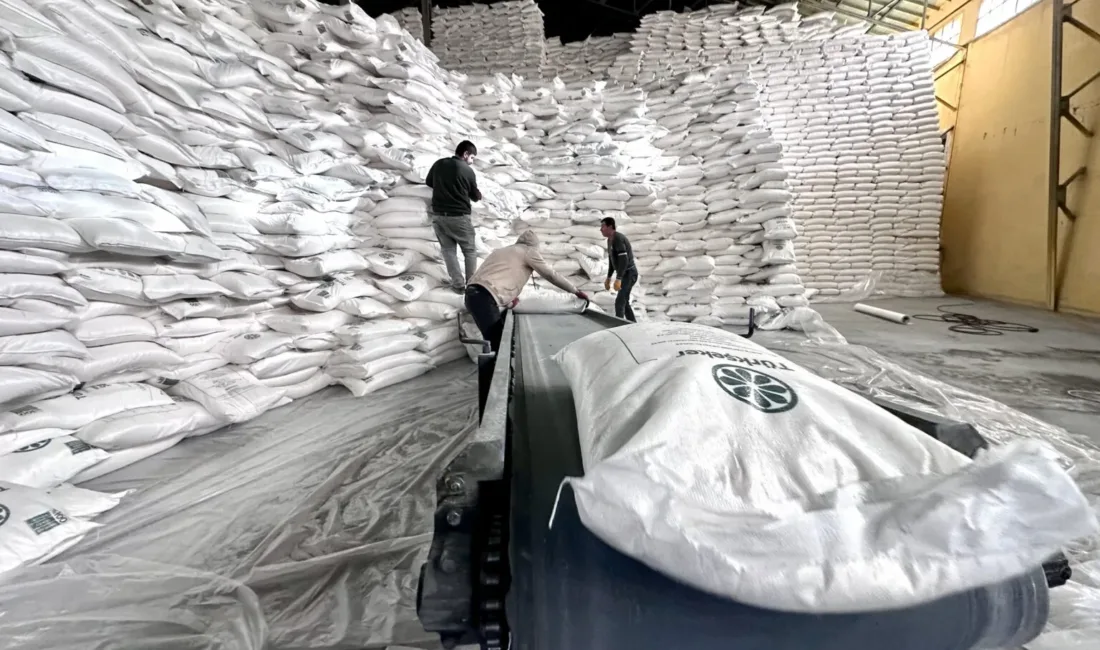 Malatya Şeker Fabrikası, günlük 3 bin 800 ton pancar işleme