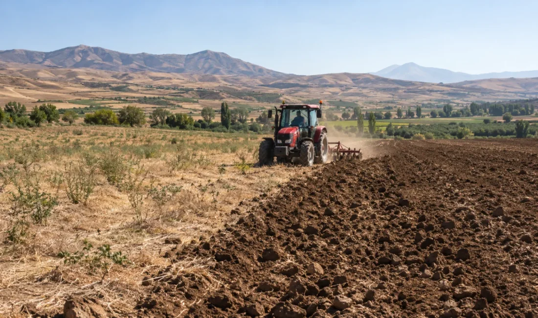 Malatya’da İşlenmeyen Tarım Arazileri Kiralanacak 11 ilçedeki 218 parsel ve 4 bin 715 dekarlık arazi