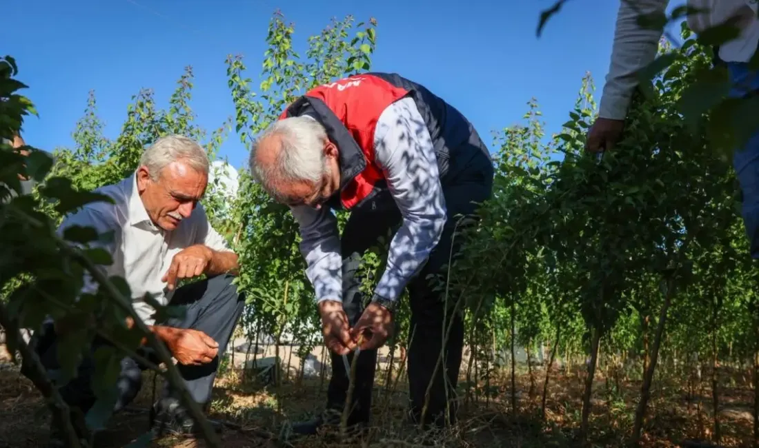 Yazıhan’da düzenlenen fidan aşılama programında üreticiler ve sektör temsilcileri buluştu.