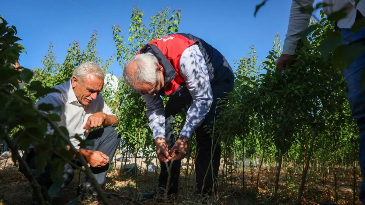 Yazıhan’da düzenlenen fidan aşılama programında üreticiler ve sektör temsilcileri buluştu.