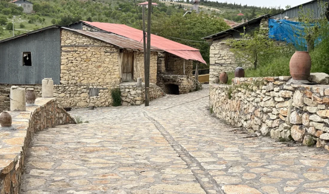 Arapgir’deki tarihi güzergâhta bu yıl yaklaşık 1.050 metrekarelik alana kayrak