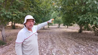 Balaban Mahallesi’ndeki üretici Yusuf Eser, cevizin kayısıya alternatif gelir sağladığını