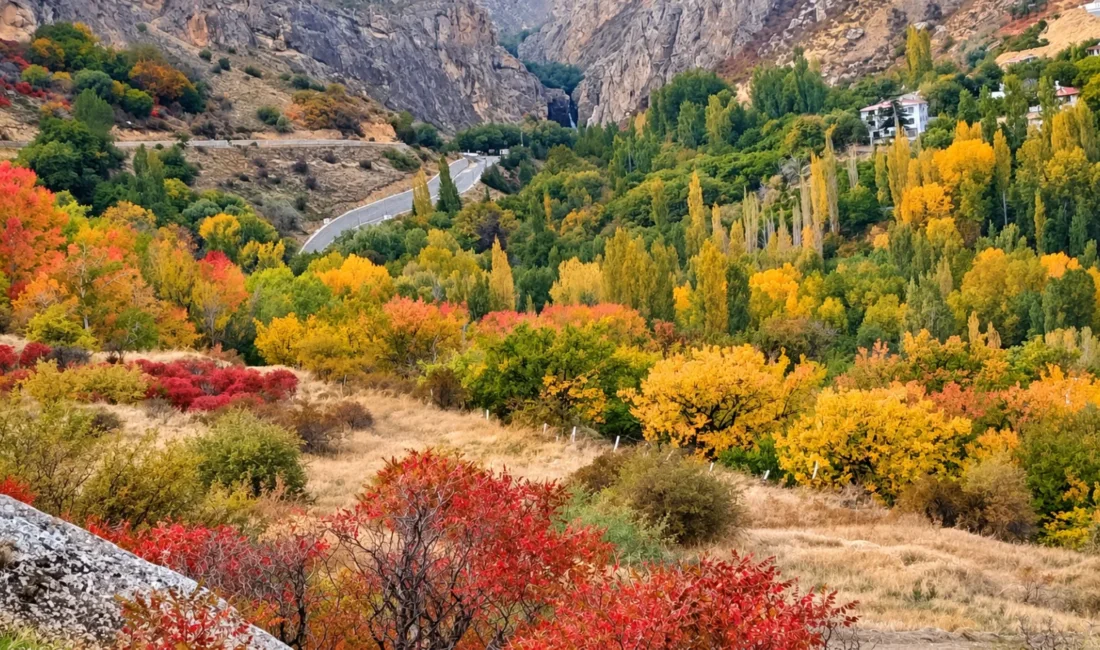 Malatya’nın Darende ilçesinde bulunan Günpınar Vadisi, sonbaharın gelişiyle sarı, kırmızı