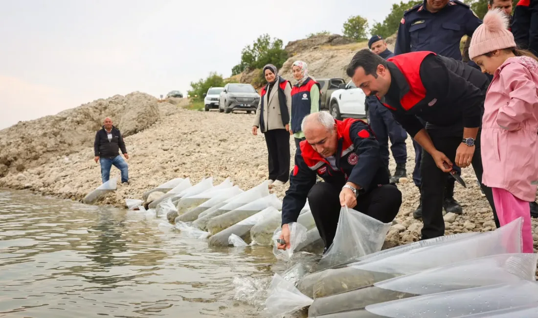 Altı ilçedeki su kaynaklarına bırakılan yavru sayısı, son 10 yılda