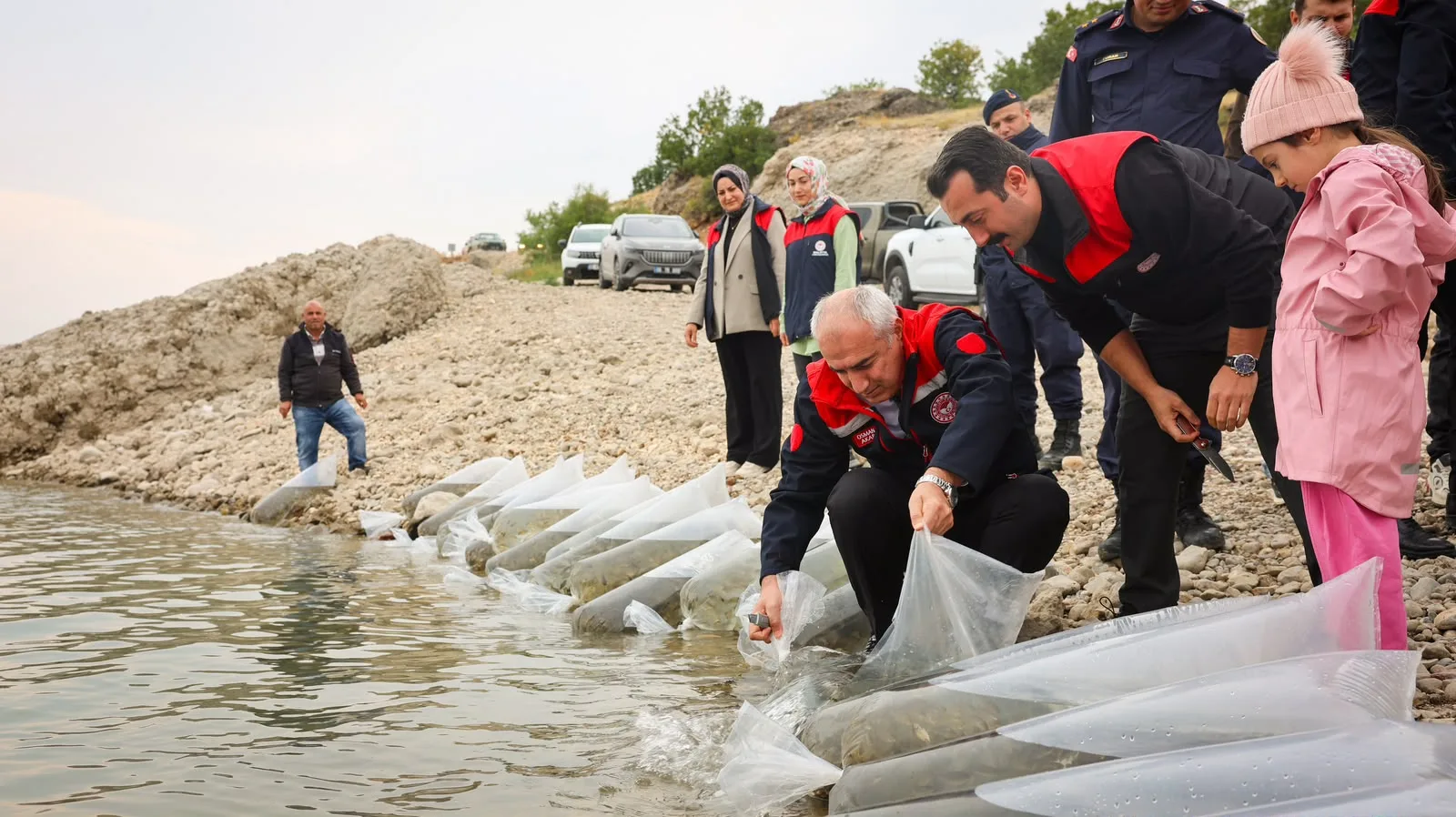 Altı ilçedeki su kaynaklarına bırakılan yavru sayısı, son 10 yılda