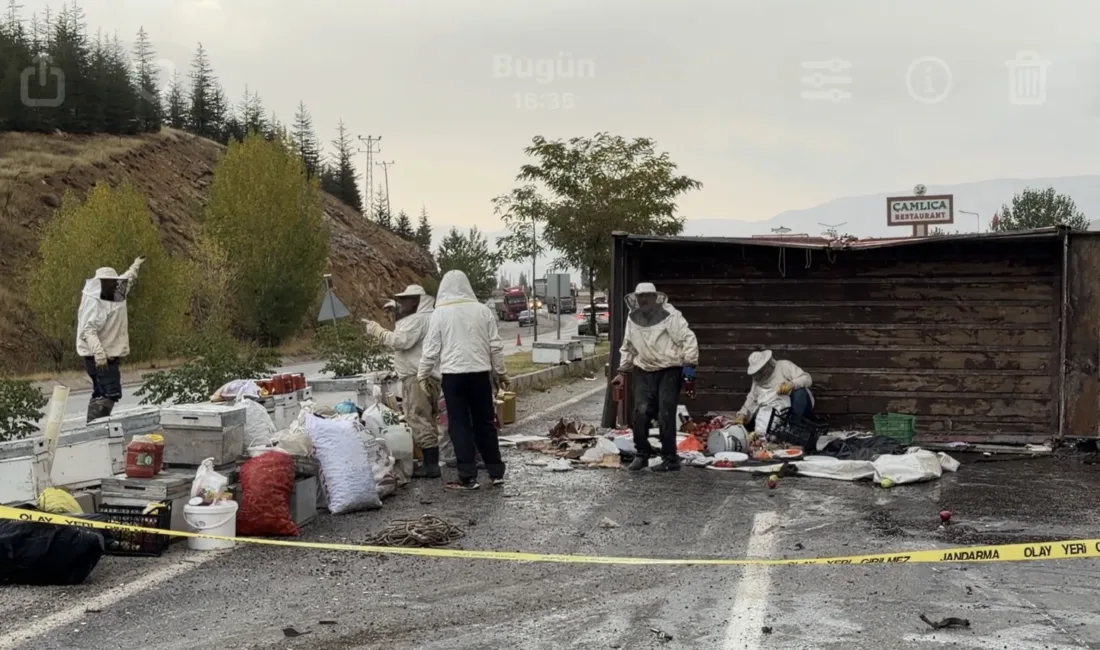 Kazada yola saçılan kovanlardan çıkan arılar, ekiplerin müdahalesini güçleştirdi.