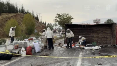 Kazada yola saçılan kovanlardan çıkan arılar, ekiplerin müdahalesini güçleştirdi.